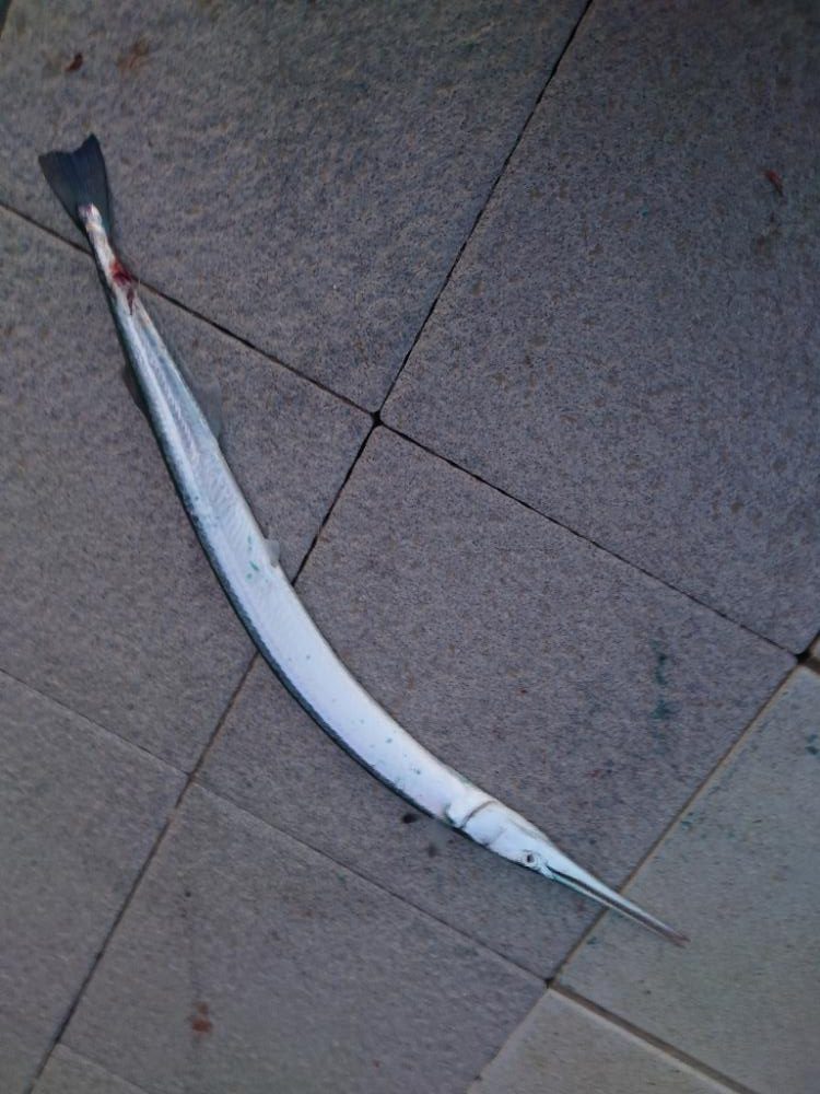 外道マスター！ESO＆DATSU