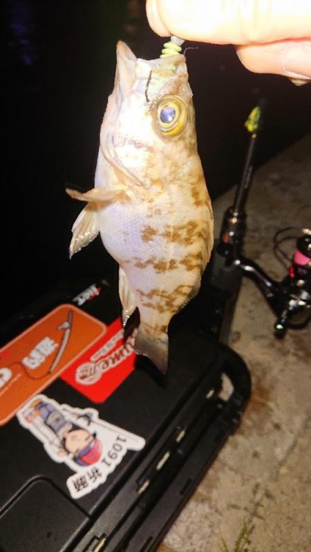 ちっこいやつしかいない。