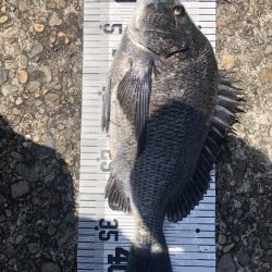 イチノ兄弟（兄）ちょ！