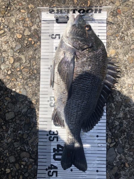 イチノ兄弟（兄）ちょ！