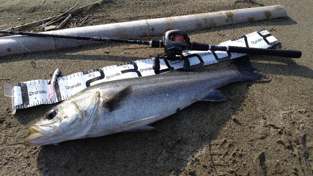 2023年初釣行にて