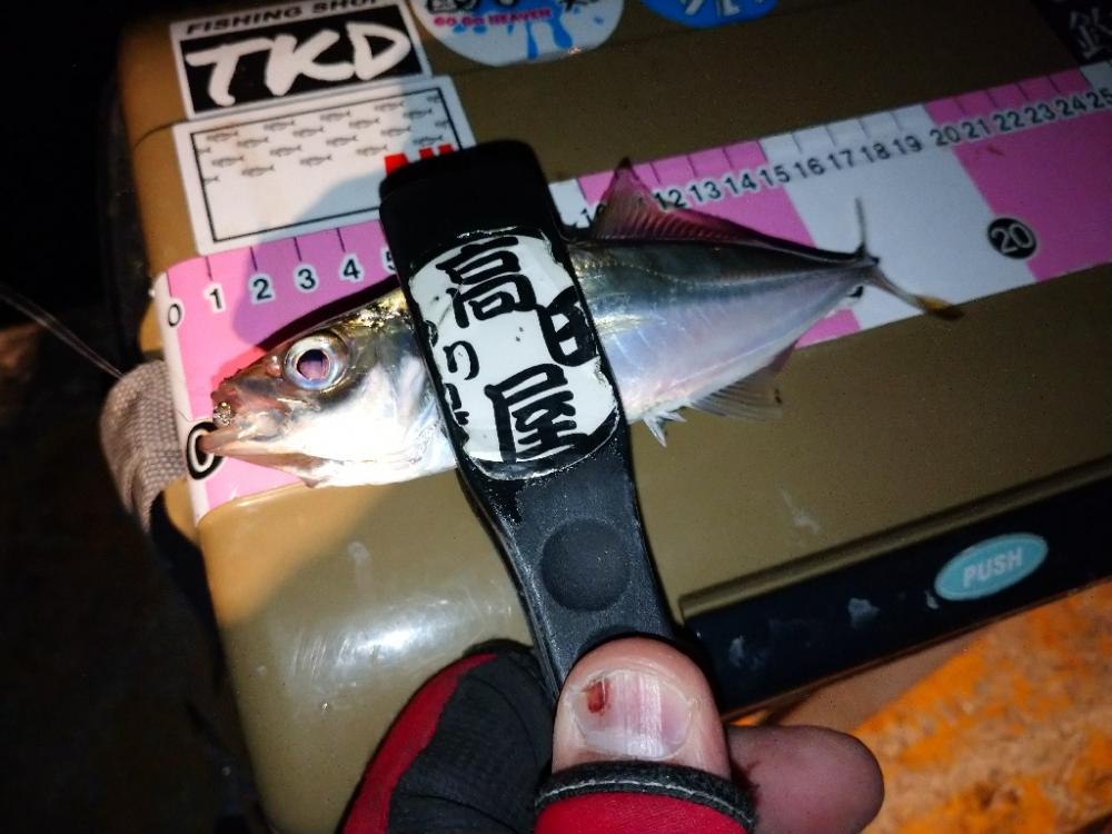 今夜も爆風アジング