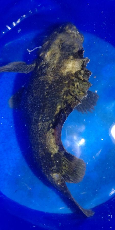 風も強く、バイトもない