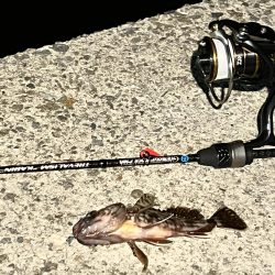 0.08号　PFラインの実力は？