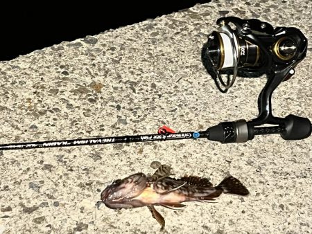 0.08号　PFラインの実力は？