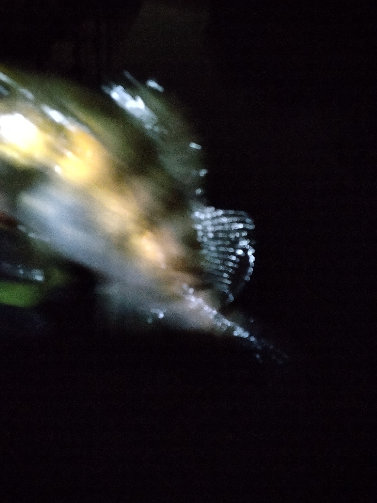 タイミングです