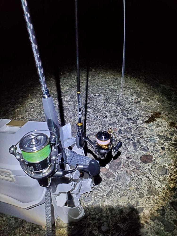 アジング　ポイント探し