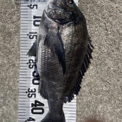 今年初爆釣❗️(イチノ兄弟兄)