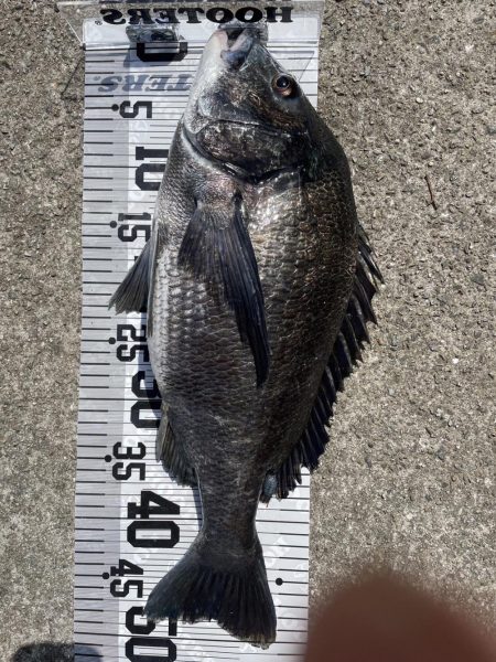 今年初爆釣❗️(イチノ兄弟兄)