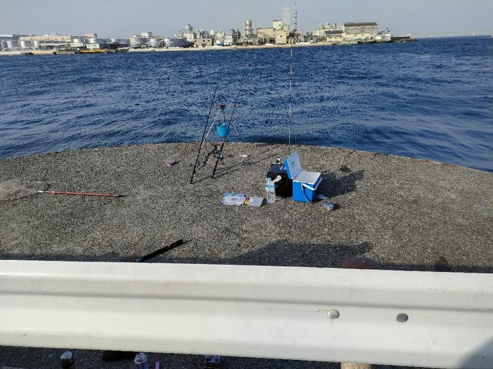 泉佐野ドラム缶でメバル