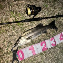 ががっときました。