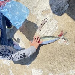 ショアジギング初挑戦