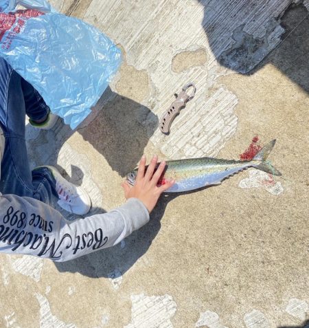 ショアジギング初挑戦