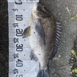 イチノ兄弟(兄)釣果!