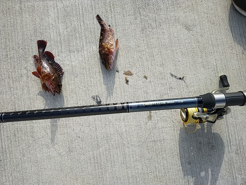 金沢水際線緑地オープン❢