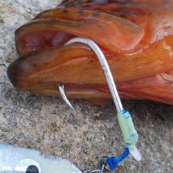 春政求めるも…