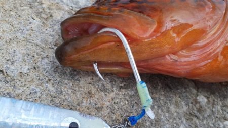 春政求めるも…