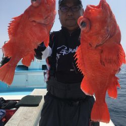 アコウダイ釣り　駿河湾　深海魚漁師の遊漁船　大宝丸