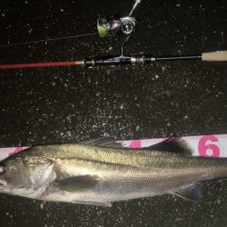 フェザーステーション関東VS関西！