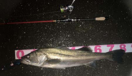 フェザーステーション関東VS関西！