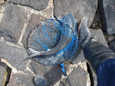 ザンネンな結果😣