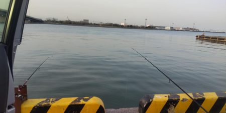 マダイ狙いが良型マチヌ