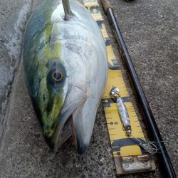 プチsalt water game