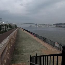 バチパターンかな