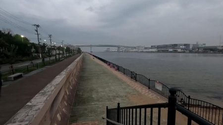 バチパターンかな