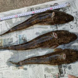 マゴチ釣り『だてまき丸』にて