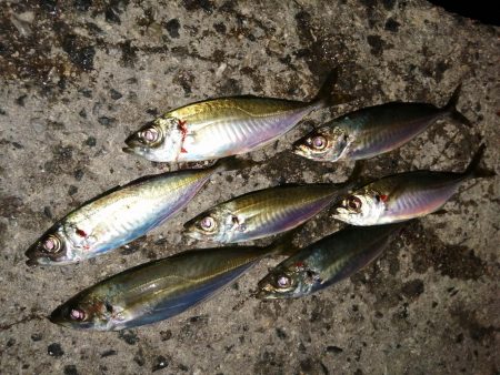 時期が来ましたか？