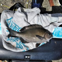 フカセ‥最高ですネ・・