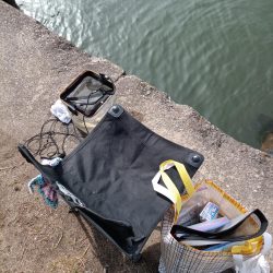 2023/04/28 大阪市内河川 稚鮎釣り