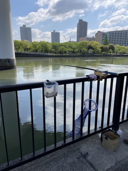 ★★今日は、370匹でした。★★