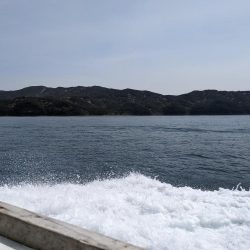 またクログチ（泉州丸）