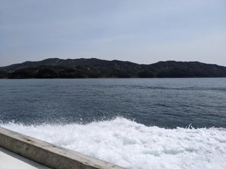 またクログチ（泉州丸）