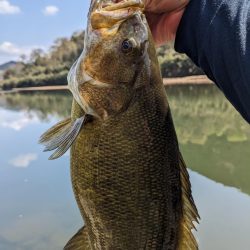 花見とバス釣り