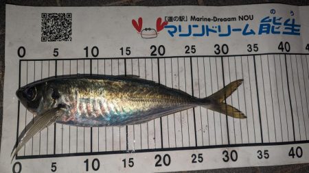 フロートアジング