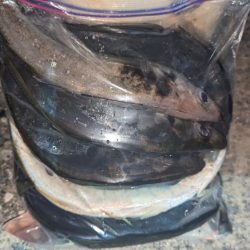 フロートアジング