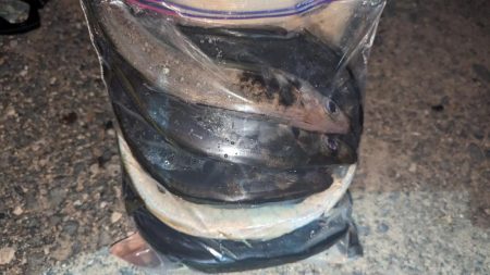 フロートアジング