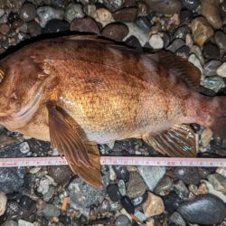 フロートアジング