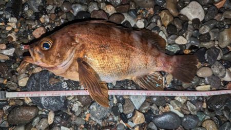 フロートアジング