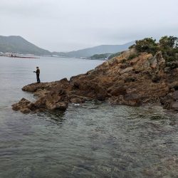 エギング&アジング