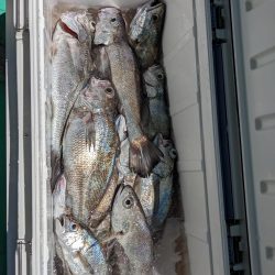 クログチ釣り（泉州丸）