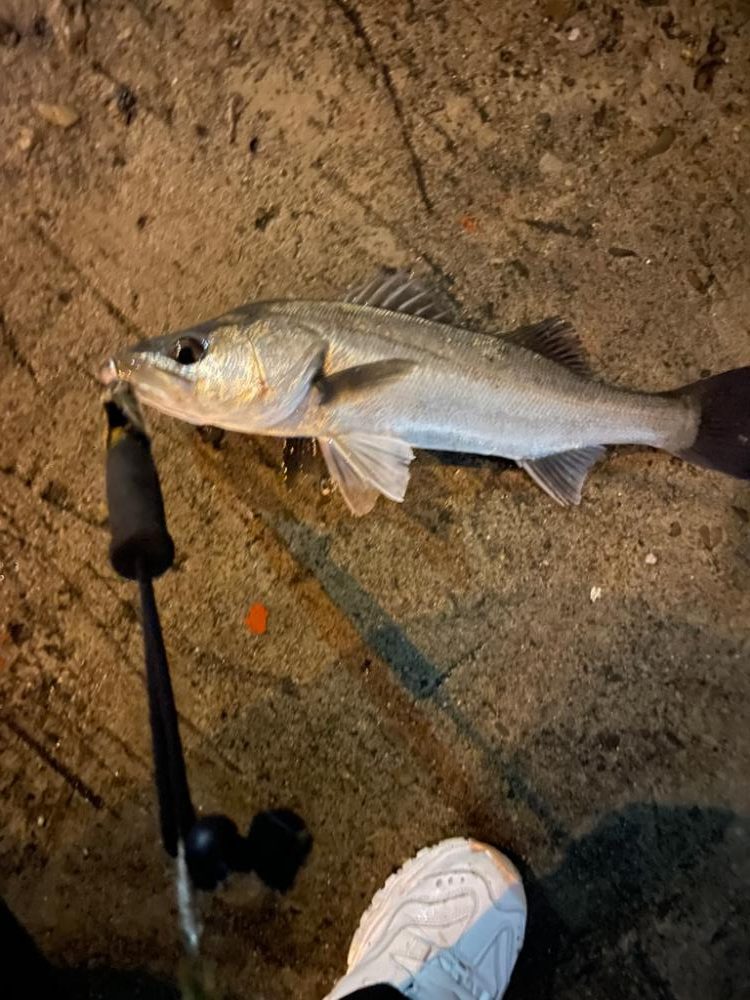 雨後の増水パターン