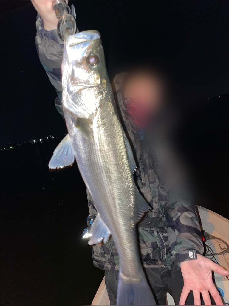 春ボートシーバス