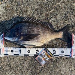 DAY1 南港のつり