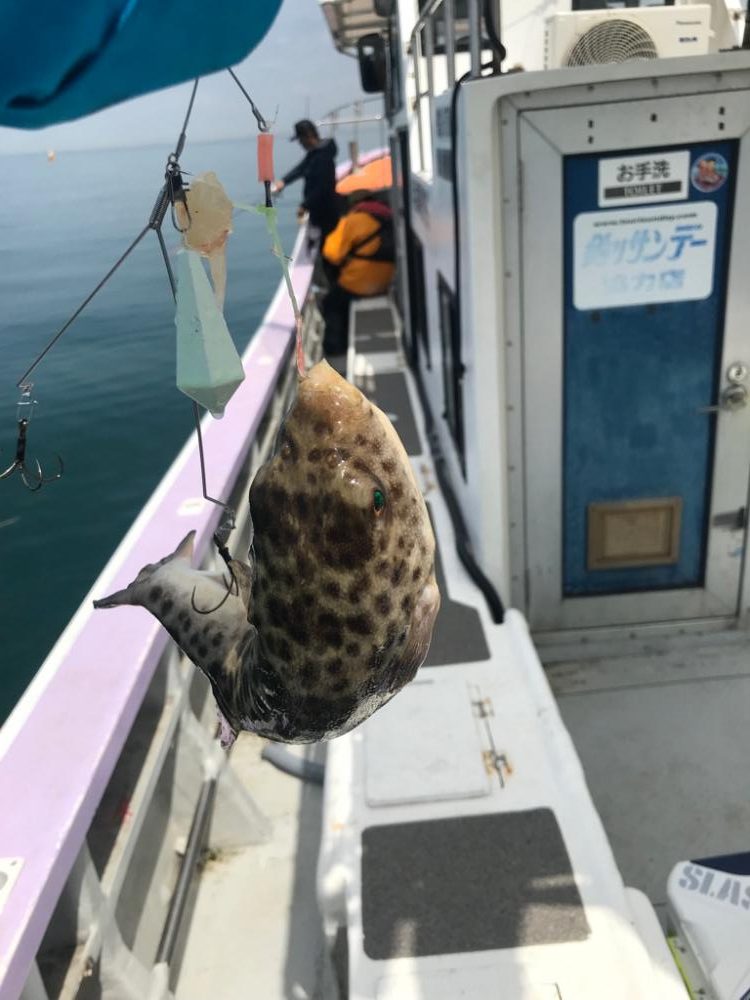 室津の流しカットウ