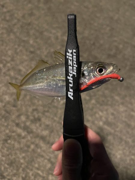 アジング良い感じ