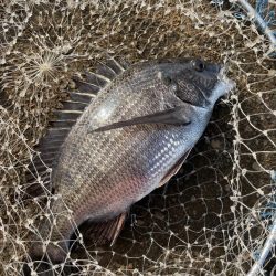 雨の後のヘチ釣り